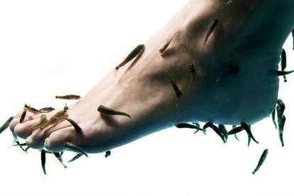 Fish Spa-behandeling