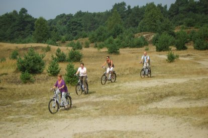 Ga op fietssafari over de Veluwe! Een dag lang trekken jullie door de Veluwse wildernis op elektrofietsen. Jullie komen een grote variatie aan bosgebieden tegen en ontdekken de Leuvenumse Beek in het centrum van de Veluwe. Een superleuke ontdekkingstocht!