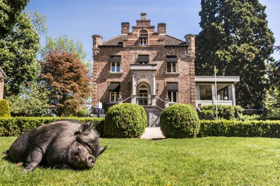 Charles Keasing een beetje Dwingend 15x Origineel overnachten in bijzondere hotels door Nederland