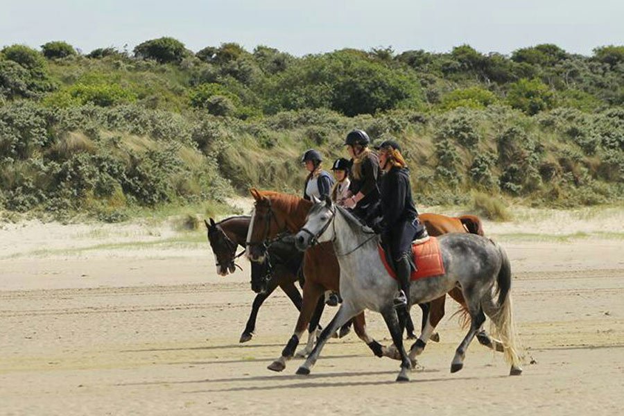Paardrijden op het strand logo
