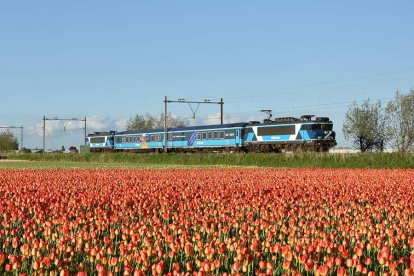 Culinaire treinreis Culinaire treinreis