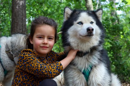 Duo Hike met Husky's