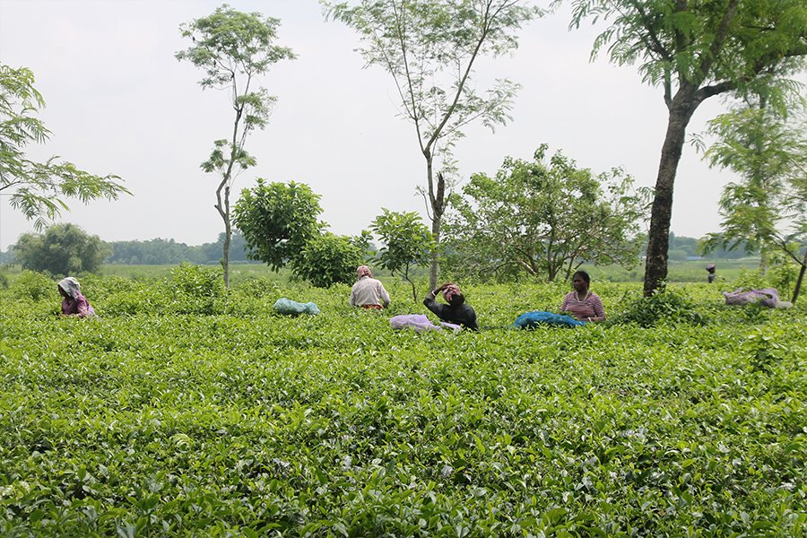 Ontdek rust, traditie en pure beleving