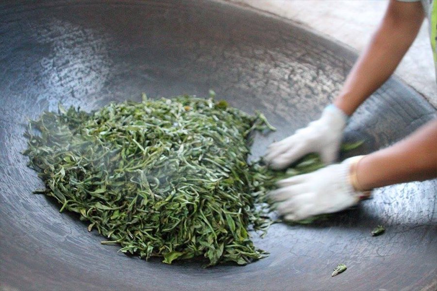 Ontdek rust, traditie en pure beleving