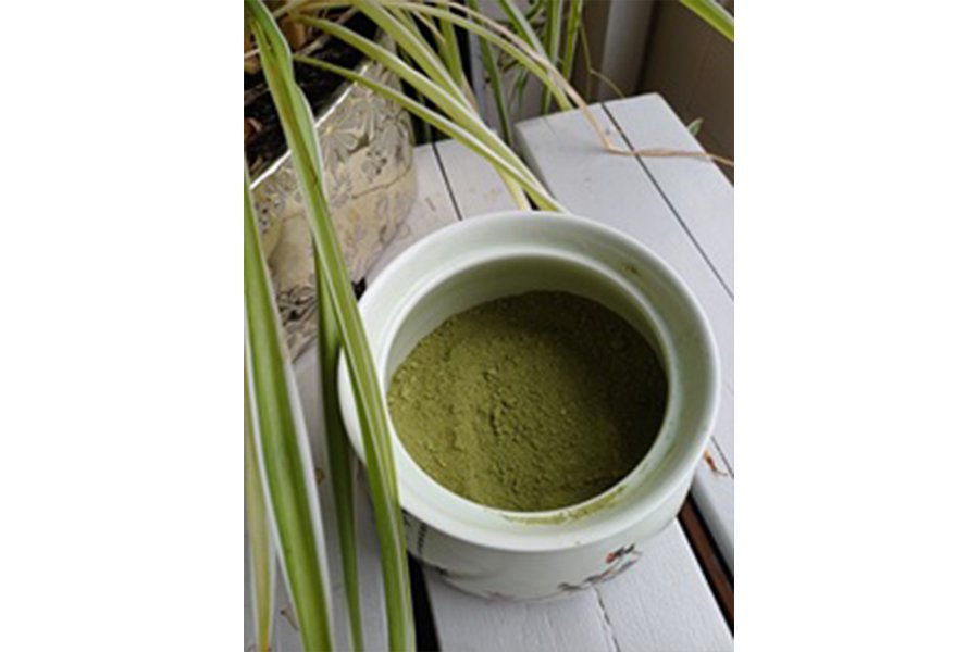 Ontdek de kracht van pure Japanse thee