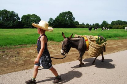 Ervaar het ontspannen gevoel van het rustige tempo van een ezel en geniet van de prachtige omgeving van Noord-Brabant. Onderweg komen jullie langs mooie plekjes waar jullie rustig kunnen zitten en waar de ezel ook even kan uitrusten. Een zeer leuk gezinsuitje!