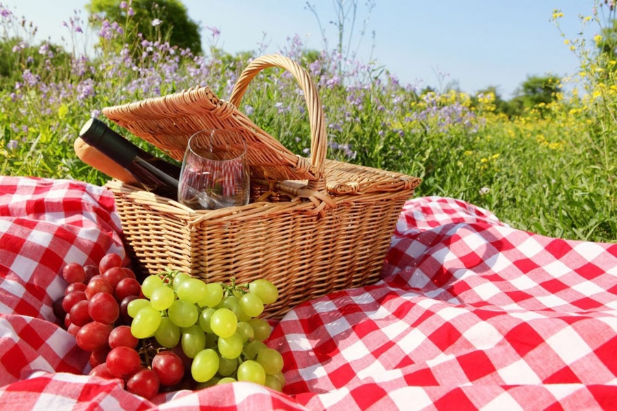 ochtendgloren Altijd tiran PICKNICK - Beleef een écht romantische picknick!