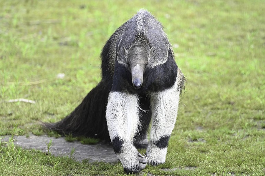 Ontdek de bijzondere dieren in de eerste zorgdierentuin van Nederland!