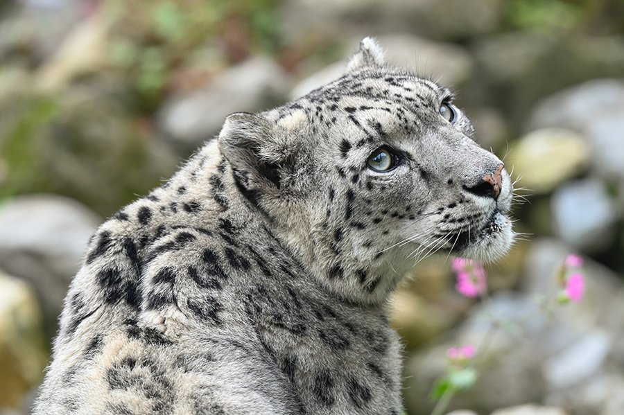 Ontdek de bijzondere dieren in de eerste zorgdierentuin van Nederland!