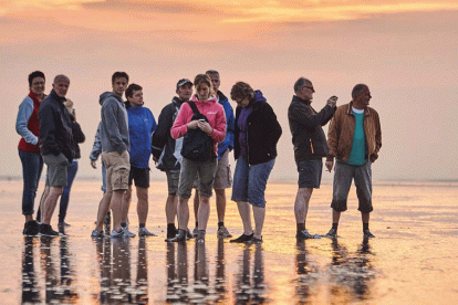 Wadlopen en zeehonden spotten