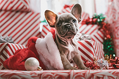 Kerst