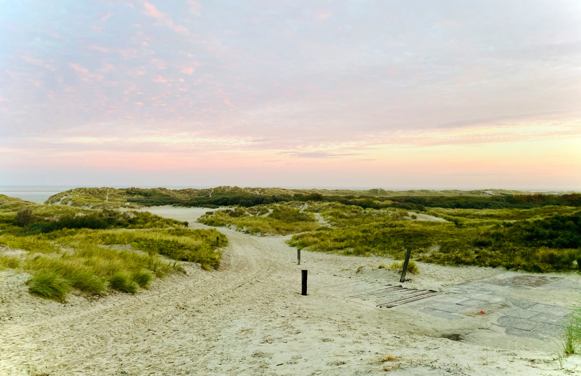 Natuur